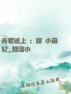 夫君追上門：甜寵小萌妃