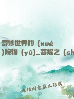 奇妙世界的學(xué)院物語(yǔ)