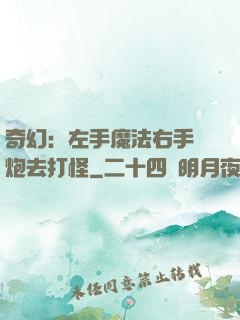 奇幻：左手魔法右手槍炮去打怪