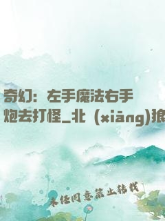 奇幻：左手魔法右手槍炮去打怪
