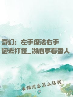 奇幻：左手魔法右手槍炮去打怪