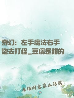 奇幻：左手魔法右手槍炮去打怪