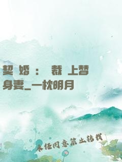 契約婚寵：總裁愛上替身妻