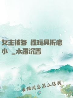 女主被各種性玩具折磨小說