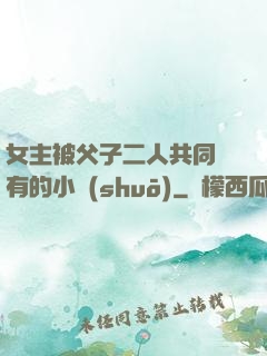 女主被父子二人共同擁有的小說(shuō)