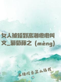 女人被躁到高潮嗷嗷叫文