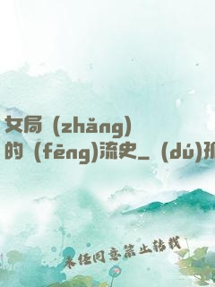 女局長(zhǎng)的風(fēng)流史