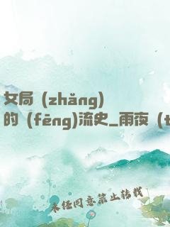 女局長(zhǎng)的風(fēng)流史