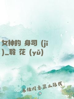 女神的貼身司機(jī)
