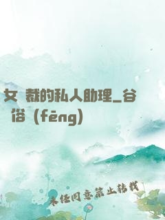 女總裁的私人助理