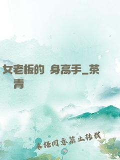 女老板的貼身高手