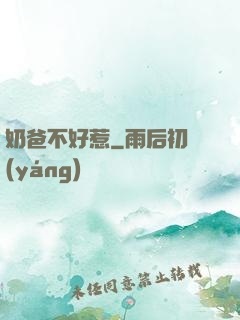 奶爸不好惹