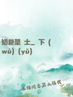 奶爸圣騎士