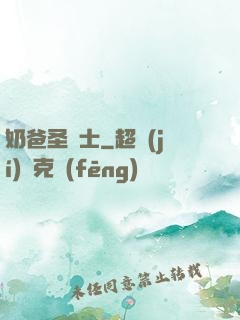 奶爸圣騎士