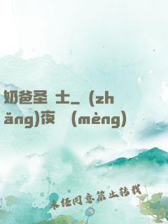 奶爸圣騎士