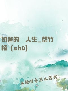 奶爸的鑒寶人生