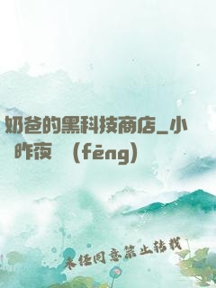 奶爸的黑科技商店