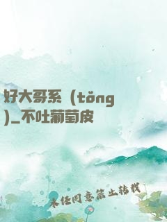 好大哥系統(tǒng)