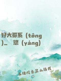 好大哥系統(tǒng)
