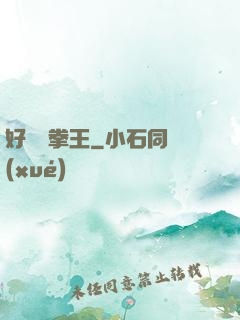 好萊塢拳王