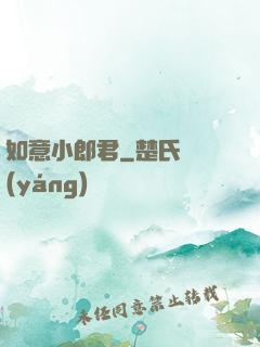 如意小郎君