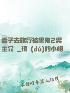 妻子去旅行被黑鬼2男主介紹