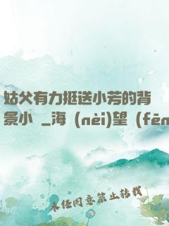 姑父有力挺送小芳的背景小說