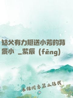 姑父有力挺送小芳的背景小說