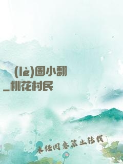 娛樂(lè)圈小翻譯