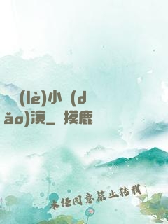 娛樂(lè)小導(dǎo)演