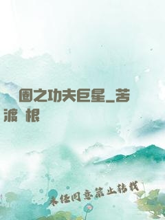 娛樂圈之功夫巨星