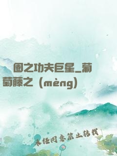 娛樂圈之功夫巨星