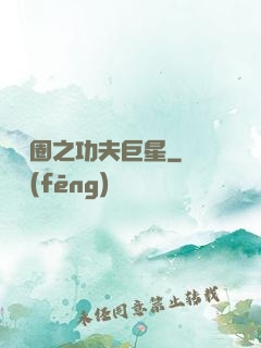娛樂圈之功夫巨星