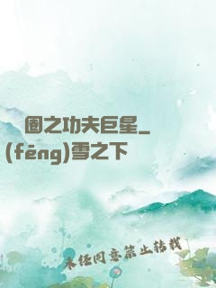 娛樂圈之功夫巨星