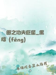 娛樂圈之功夫巨星