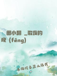 娛樂圈小翻譯