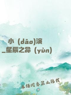 娛樂小導(dǎo)演