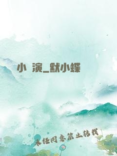 娛樂小導演