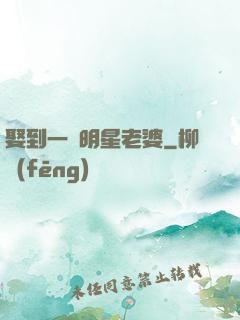 娶到一個明星老婆