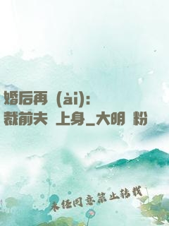 婚后再愛(ài)：總裁前夫纏上身