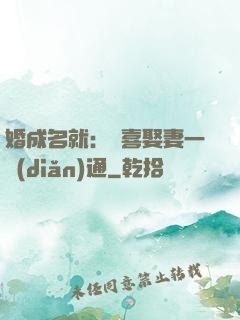 婚成名就：歡喜娶妻一點(diǎn)通