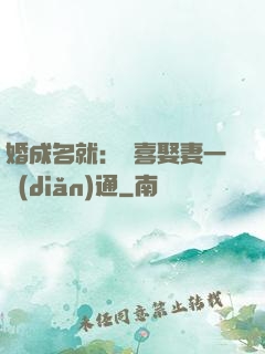 婚成名就：歡喜娶妻一點(diǎn)通