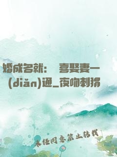 婚成名就：歡喜娶妻一點(diǎn)通
