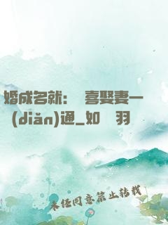 婚成名就：歡喜娶妻一點(diǎn)通
