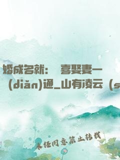 婚成名就：歡喜娶妻一點(diǎn)通