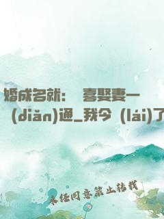 婚成名就：歡喜娶妻一點(diǎn)通