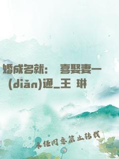 婚成名就：歡喜娶妻一點(diǎn)通