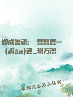 婚成名就：歡喜娶妻一點(diǎn)通