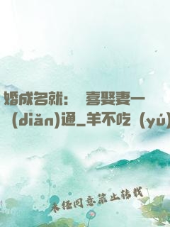 婚成名就：歡喜娶妻一點(diǎn)通