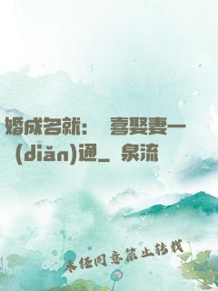 婚成名就：歡喜娶妻一點(diǎn)通